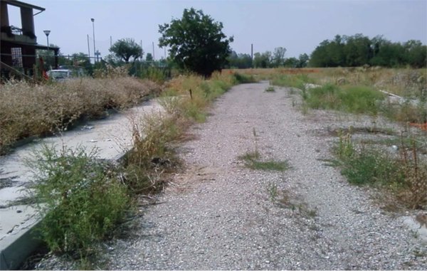 terreno edificabile in vendita a San Giorgio Piacentino