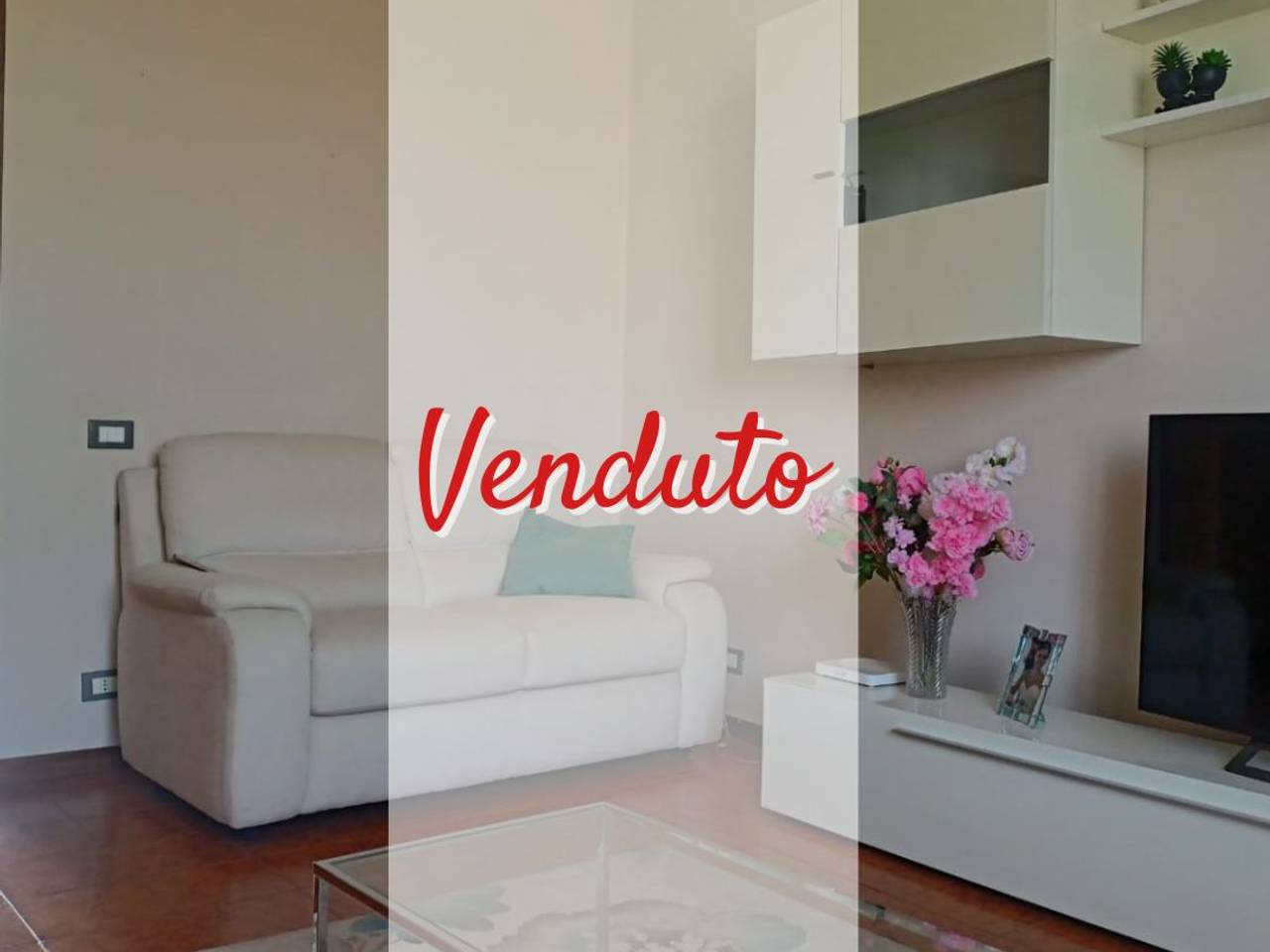 immagine annuncio 0 di 15