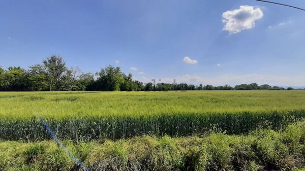 terreno agricolo in vendita a San Giorgio Piacentino