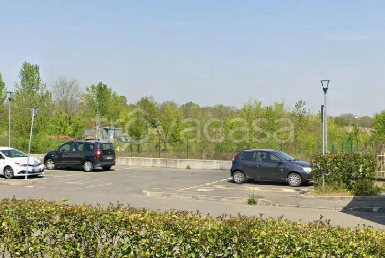 terreno agricolo in vendita a San Giorgio Piacentino