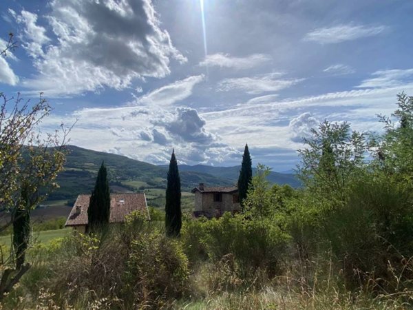 casa indipendente in vendita a Travo