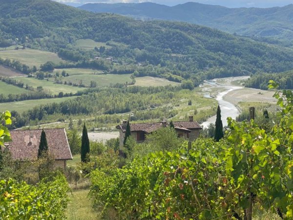 casa indipendente in vendita a Travo