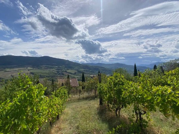 casa indipendente in vendita a Travo