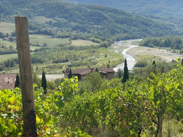 casa indipendente in vendita a Travo