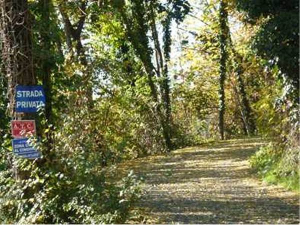 casa indipendente in vendita a Travo