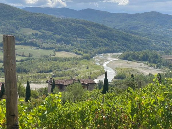 casa indipendente in vendita a Travo