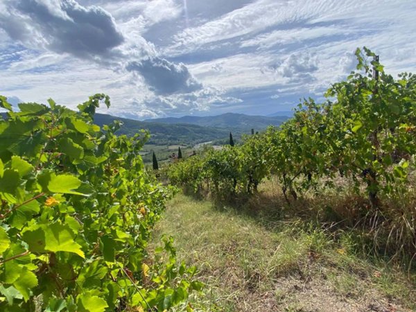 casa indipendente in vendita a Travo
