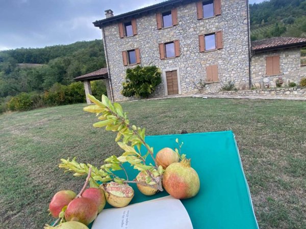 casa indipendente in vendita a Travo