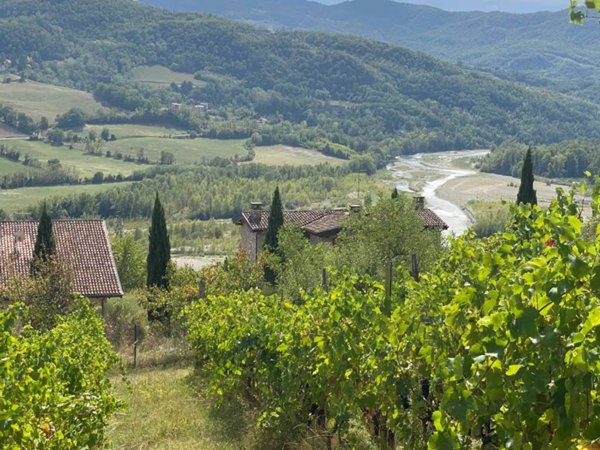 casa indipendente in vendita a Travo