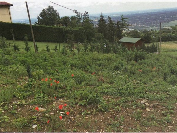 terreno edificabile in vendita a Travo in zona Pigazzano