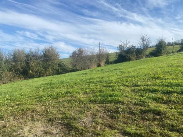 casa indipendente in vendita a Travo