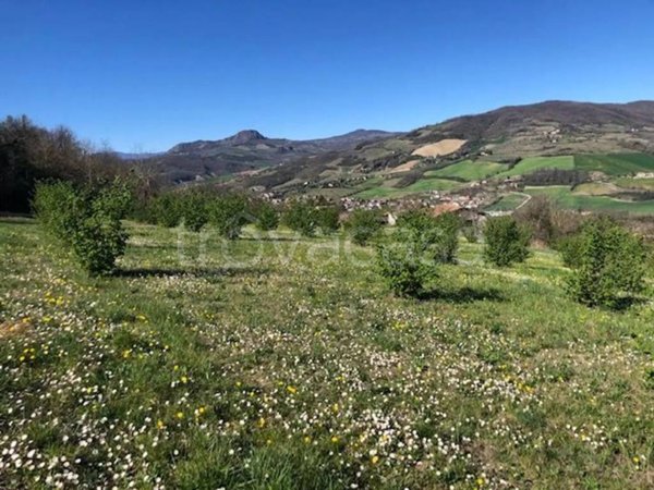 terreno agricolo in vendita a Travo