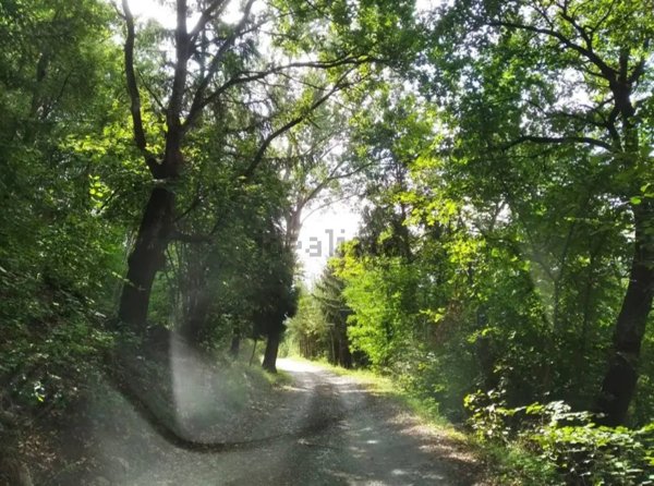 casale in vendita a Travo