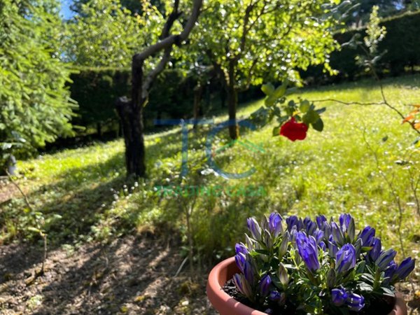 appartamento in vendita a Travo