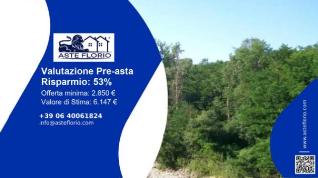 terreno agricolo in vendita a Travo