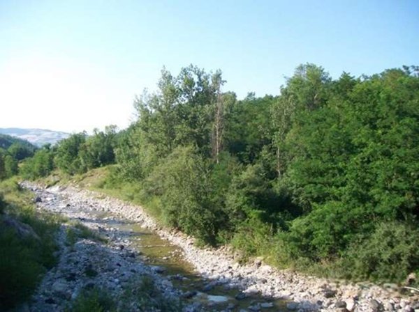 terreno agricolo in vendita a Travo