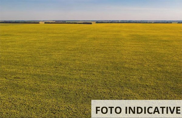 terreno agricolo in vendita a Travo