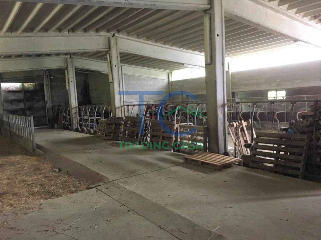 casa indipendente in vendita a Travo