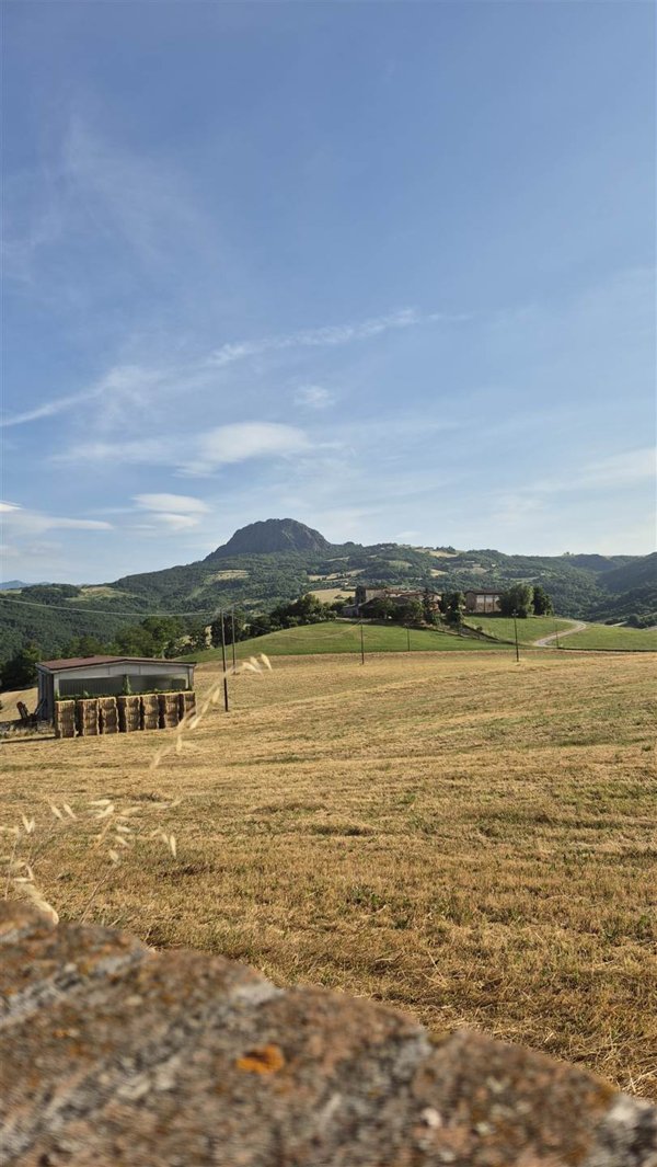 casa indipendente in vendita a Travo