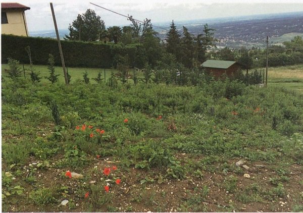 terreno edificabile in vendita a Travo in zona Pigazzano