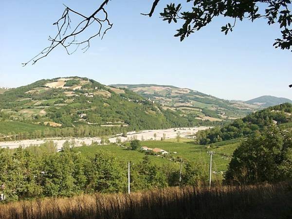 terreno agricolo in vendita a Travo
