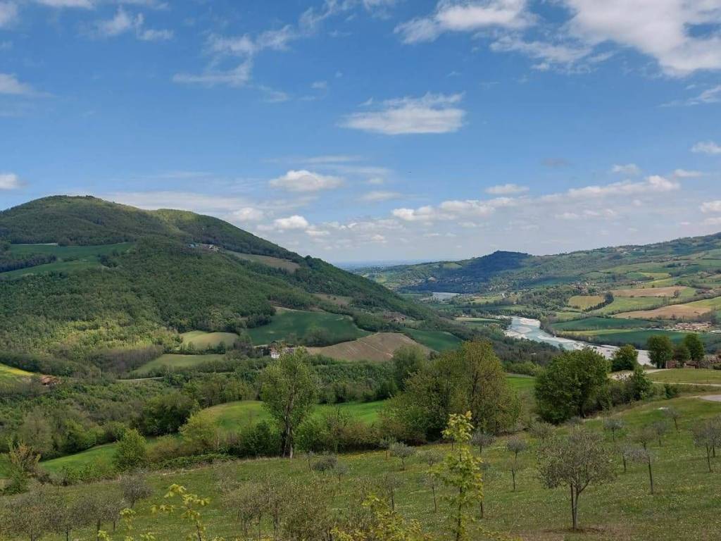 terreno agricolo in vendita a Travo in zona Pigazzano