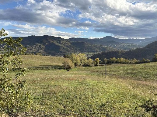 appartamento in vendita a Travo