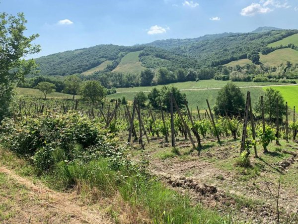casa indipendente in vendita a Vernasca in zona Vigoleno