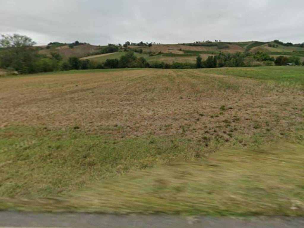terreno agricolo in vendita a Vernasca in zona Bacedasco Basso