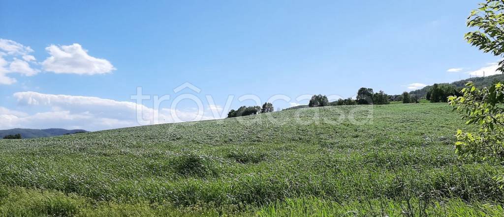 terreno agricolo in vendita a Vigolzone