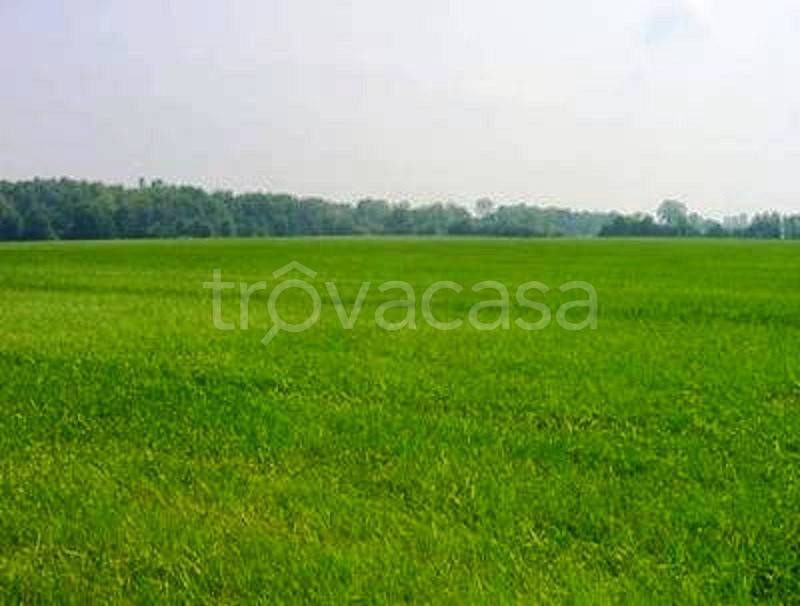 terreno agricolo in vendita a Vigolzone