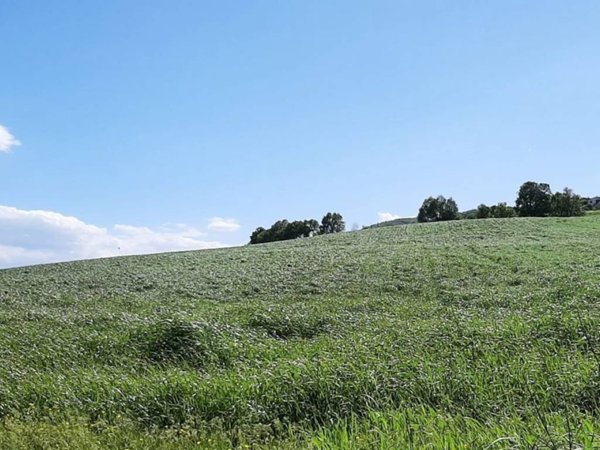 terreno agricolo in vendita a Vigolzone