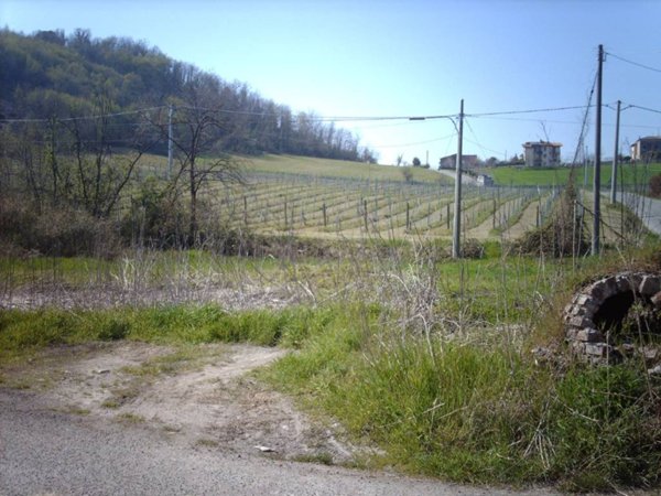 terreno agricolo in vendita a Vigolzone in zona Bicchignano