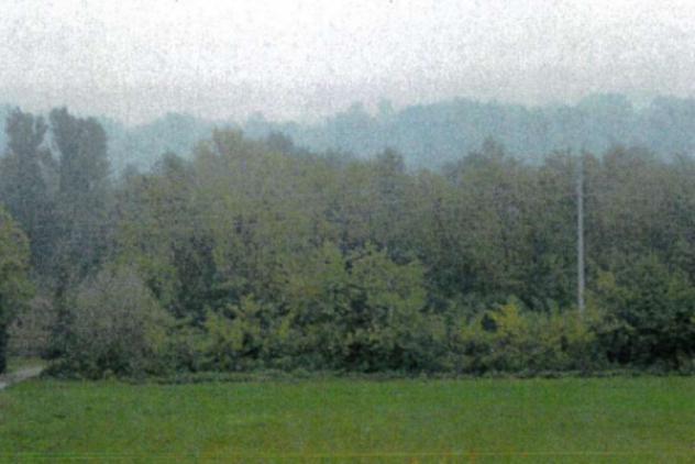 terreno agricolo in vendita a Vigolzone