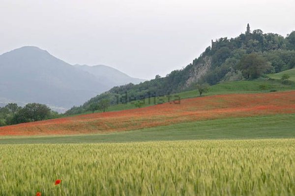 locale di sgombero in vendita a Vigolzone