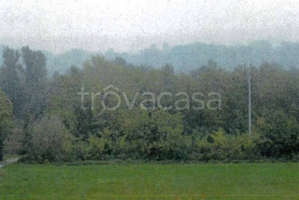 terreno agricolo in vendita a Vigolzone