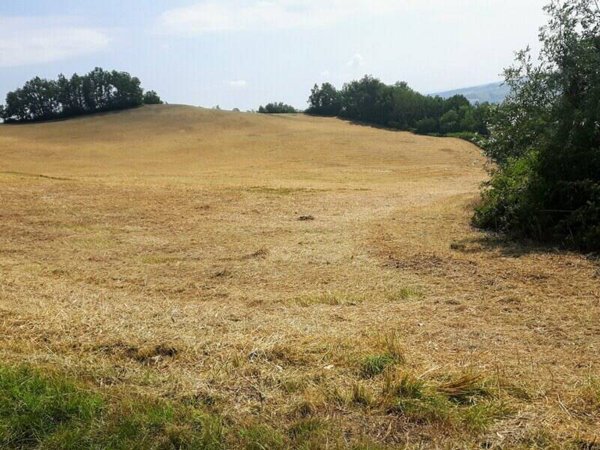 terreno agricolo in vendita a Vigolzone in zona Borgo di Sotto