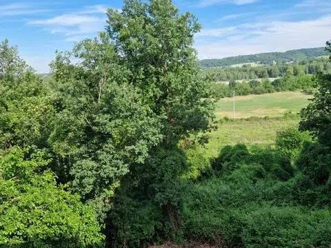terreno agricolo in vendita a Vigolzone in zona Villò