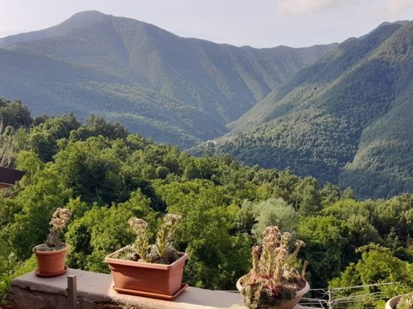 casa indipendente in vendita a Zerba