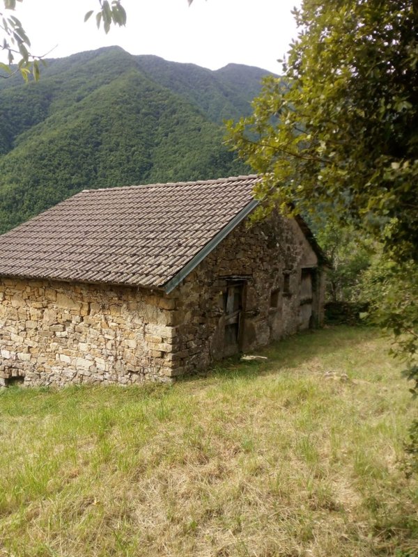 quadrivano in vendita a Zerba in zona Cerreto