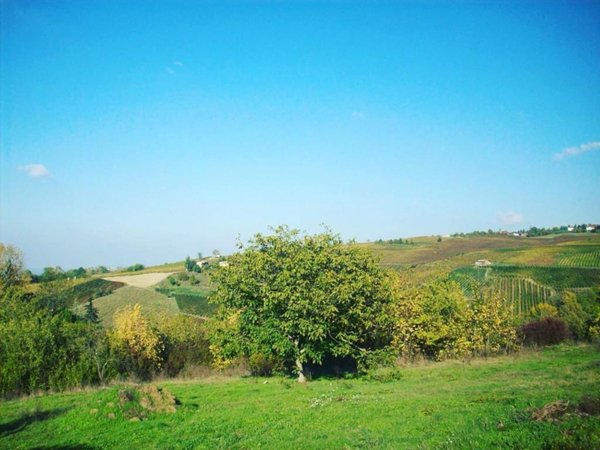 terreno agricolo in vendita a Ziano Piacentino