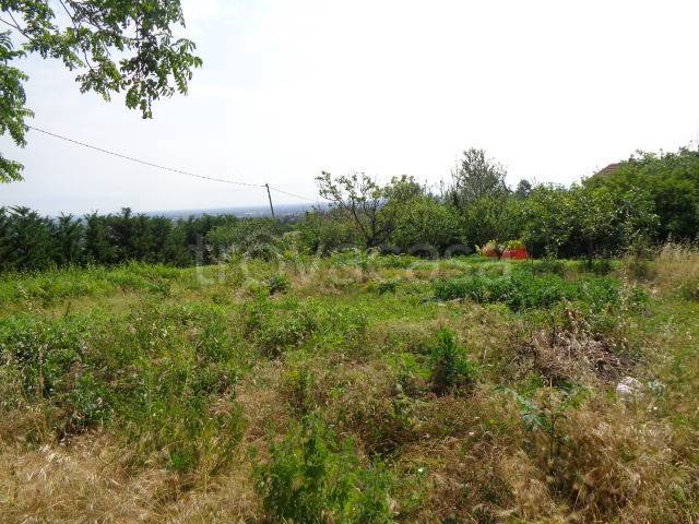 terreno edificabile in vendita a Ziano Piacentino