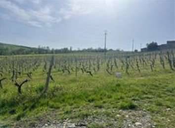 casa indipendente in vendita a Ziano Piacentino in zona Vicobarone