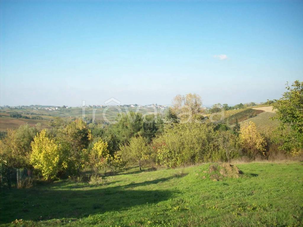 terreno agricolo in vendita a Ziano Piacentino