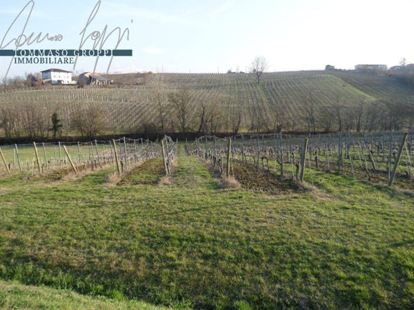 terreno agricolo in vendita a Ziano Piacentino