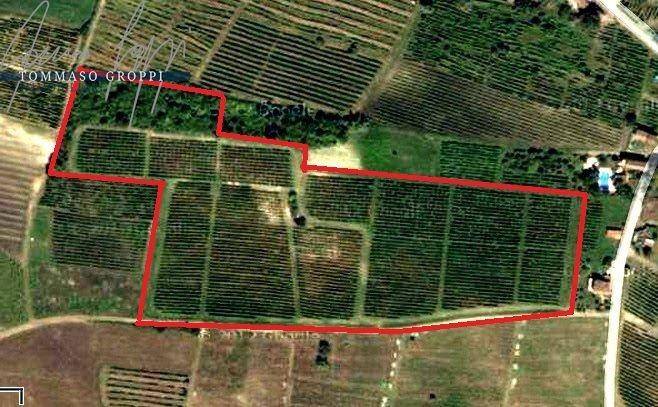 terreno agricolo in vendita a Ziano Piacentino