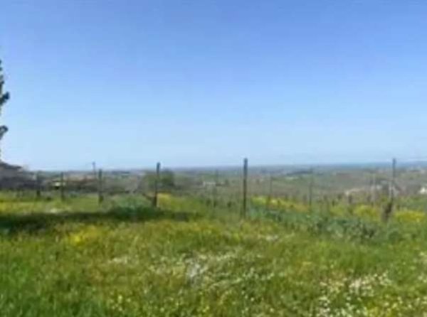 terreno agricolo in vendita a Ziano Piacentino in zona Vicobarone