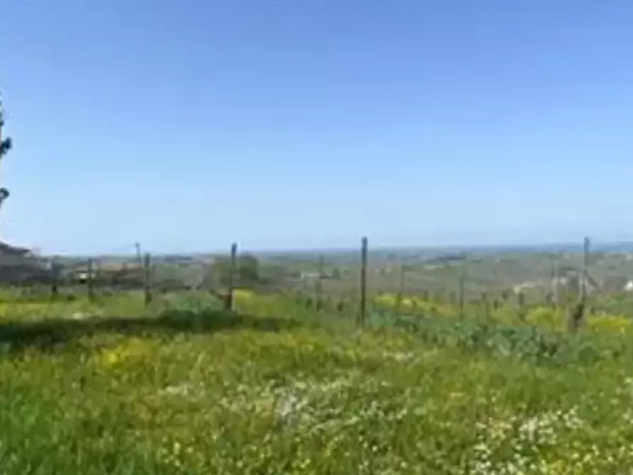 terreno agricolo in vendita a Ziano Piacentino in zona Vicobarone