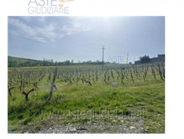 terreno edificabile in vendita a Ziano Piacentino in zona Vicobarone