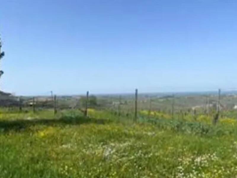 terreno agricolo in vendita a Ziano Piacentino in zona Vicobarone